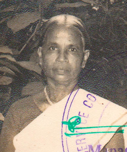 തട്ടാന്‍ വീട്ടില്‍ പരേതനായ വേലായുധന്‍ ഭാര്യ പാറുക്കുട്ടി (86) നിര്യാതയായി