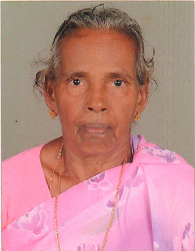 പേരാമ്പ്ര മാളിയേക്കല്‍ ഈനന്‍ വീട്ടില്‍ പരേതനായ അന്തോണിയുടെ മകള്‍ അന്നം (80) നിര്യാതയായി